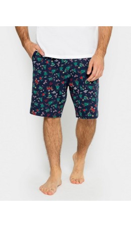 Шорты елки на морском