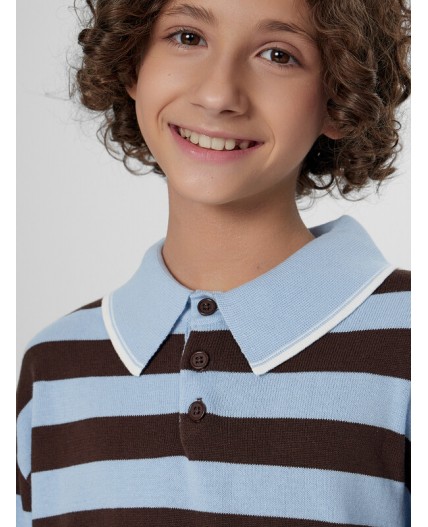 Поло коричнево -голубая полоска