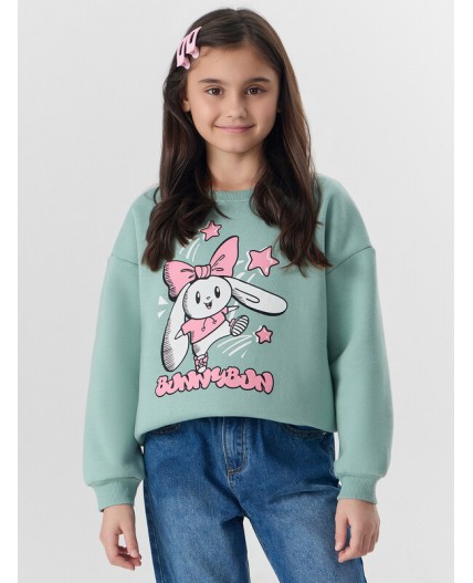 Свитшот шалфей +печать1