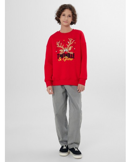 Свитшот красный +печать1