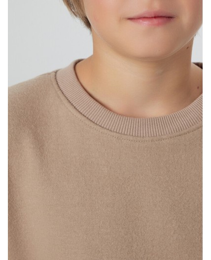 Свитшот серо -бежевый