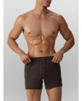 Трусы коричневый1