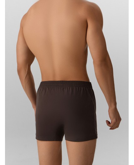 Трусы коричневый1