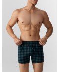 Трусы черная клетка на зеленом