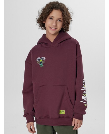 Анорак ежевичный +печать