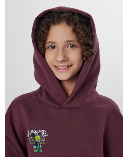 Анорак ежевичный +печать