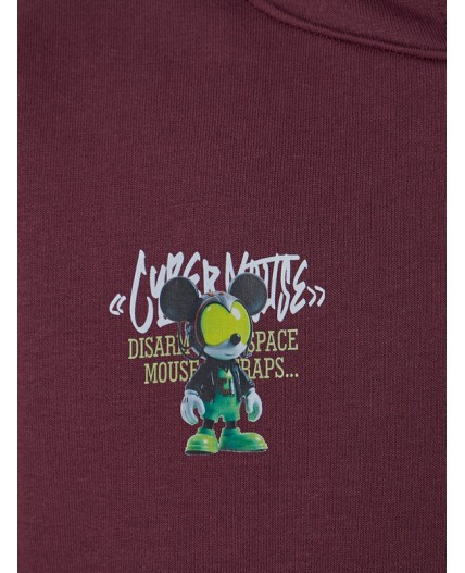 Анорак ежевичный +печать