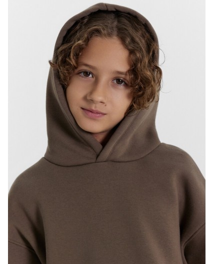 Худи холодный кофейный