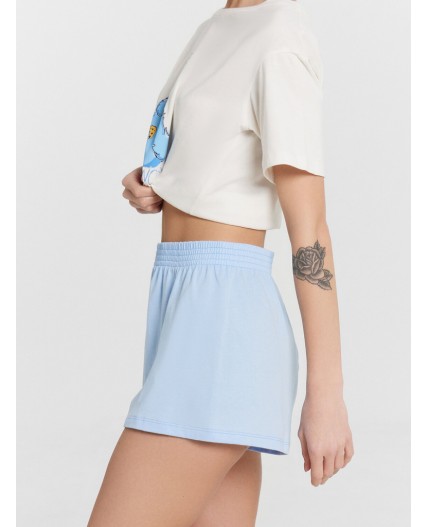 Комплект св.молочный +голубой +печать