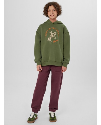 Брюки ежевичный