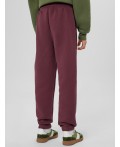 Брюки ежевичный