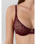 Бюстгальтер звезды на бордовом