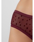 Трусы звезды на бордовом