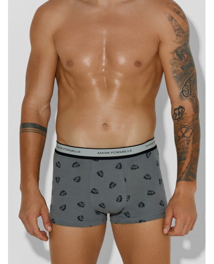 Трусы зубры на т.сером