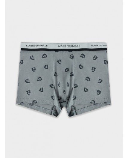 Трусы зубры на т.сером