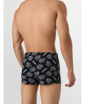 Трусы тигры на черном