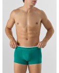 Трусы зеленый