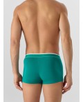 Трусы зеленый