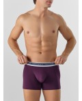 Трусы т.пурпурный