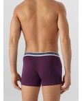 Трусы т.пурпурный