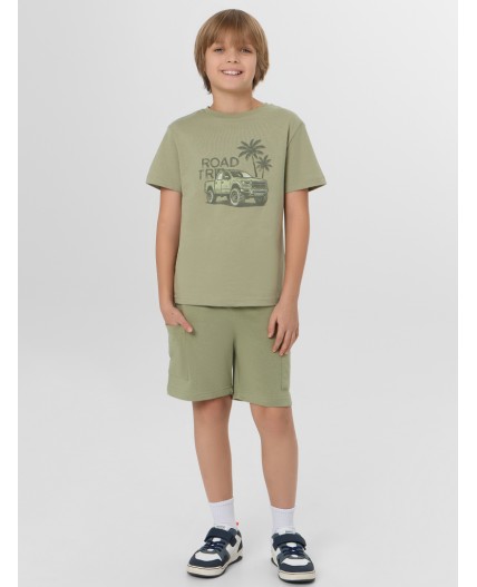 Комплект зеленый чай +печать