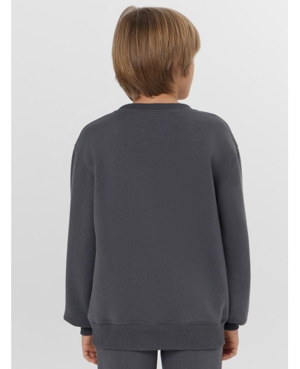 Джемпер серая жемчужина +печать