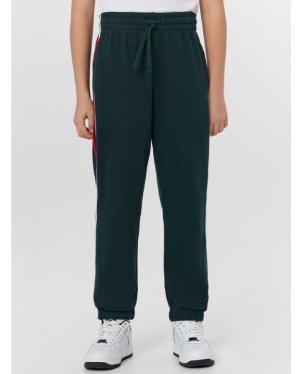 Брюки зеленый бархат