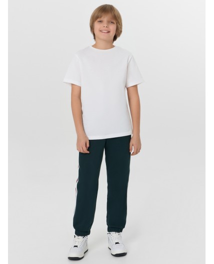 Брюки зеленый бархат