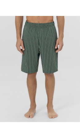 Шорты полоска на хвойный лес