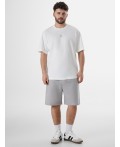 Шорты серый пепел