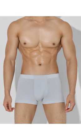 Трусы св.серый +т.серый
