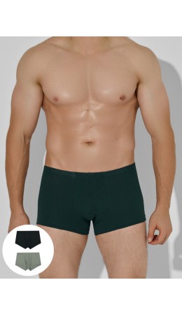 Трусы агава + зеленый бархат