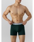 Трусы зеленый бархат