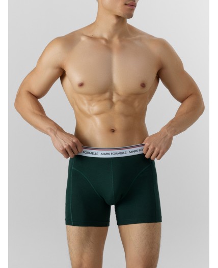 Трусы зеленый бархат