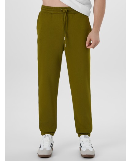 Брюки травяной