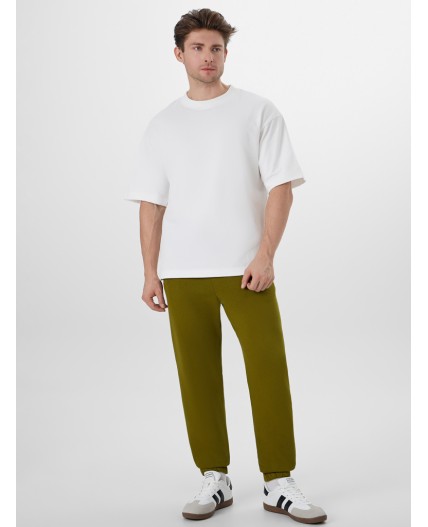 Брюки травяной