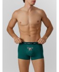 Трусы т.зеленый +дикая охота на т.зеленом