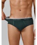 Трусы зеленый бархат