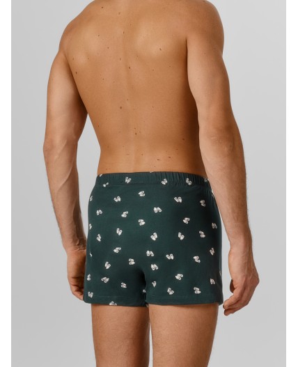 Трусы бинокли на зеленом бархате