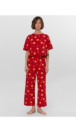 Комплект мандарины на красном