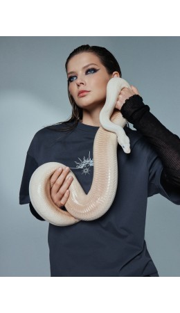 Футболка серый +печать