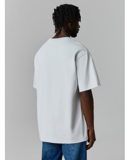 Футболка антарктика