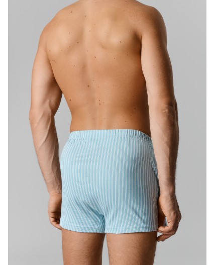 Трусы белая полоска на полыни