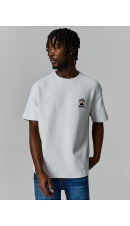 Футболка антарктика