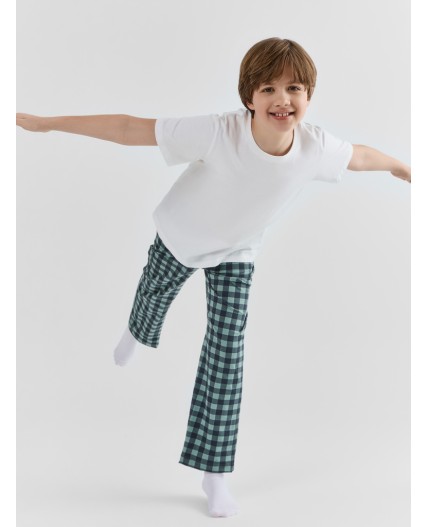 Брюки зеленая клетка