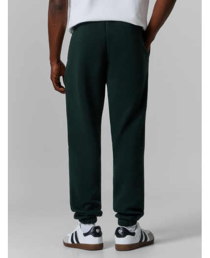 Брюки зеленый бархат