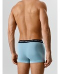 Трусы полынь +драконы на чёрном