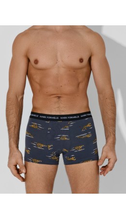 Трусы тигры на графите