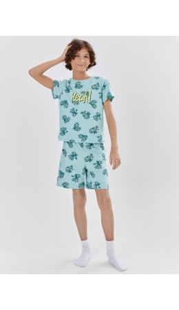 Комплект хамелеоны на морских бликах