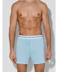 Трусы белая полоска на полыни +морская волна